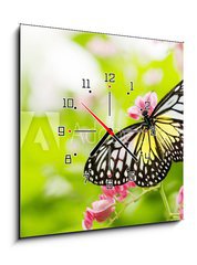 Obraz s hodinami   butterfly feeding on a flower, 50 x 50 cm