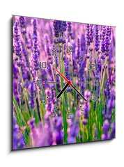 Obraz s hodinami 1D - 50 x 50 cm F_F117193002 - Blooming lavender in a field at Provence - Kvetoucí levandule na poli v Provence