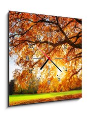 Obraz s hodinami 1D - 50 x 50 cm F_F119517756 - Schne Eiche auf Wiese bei untergehender Sonne im Herbst