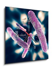 Obraz s hodinami   Shigella Bacteria, 50 x 50 cm