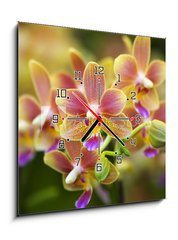 Obraz s hodinami 1D - 50 x 50 cm F_F12425708 - Pink Yellow Spotted Orchids Hong Kong Flower Market