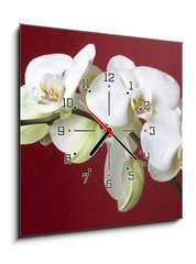 Obraz s hodinami   orchids, 50 x 50 cm
