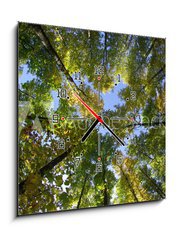 Obraz s hodinami 1D - 50 x 50 cm F_F12669766 - foret