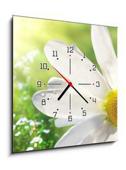 Obraz s hodinami 1D - 50 x 50 cm F_F12750735 - Wild daisy