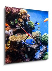 Obraz s hodinami 1D - 50 x 50 cm F_F131183702 - Tropical fishes on the coral reef