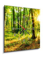 Obraz s hodinami 1D - 50 x 50 cm F_F137096673 - Wald im Frhling mit Sonne - Les na jaře se sluncem