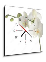 Obraz s hodinami 1D - 50 x 50 cm F_F1377708 - white orchid - bílá orchidej