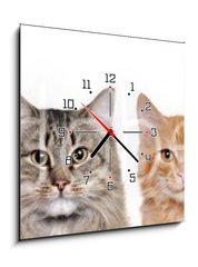Obraz s hodinami   closeup portrait of a group of cats of different breeds sitting in a line isolated over white background, 50 x 50 cm