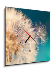 Obraz s hodinami 1D - 50 x 50 cm F_F143134951 - white dandelion flower with seeds in springtime in blue turquoise abstract backgrouds