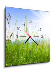 Obraz s hodinami 1D - 50 x 50 cm F_F14694795 - Grass - Trva