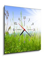 Obraz s hodinami 1D - 50 x 50 cm F_F14694795 - Grass - Tráva