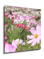 Obraz s hodinami 1D - 50 x 50 cm F_F14706951 - cosmos_closeup