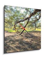 Obraz s hodinami 1D - 50 x 50 cm F_F147965977 - Panoramic view of Oak Alley Plantation, Louisiana - Panoramatický výhled na Oak Alley Plantation, Louisiana