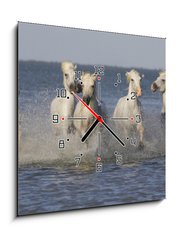 Obraz s hodinami 1D - 50 x 50 cm F_F14879653 - Chevaux de Camargue