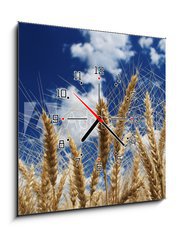 Obraz s hodinami 1D - 50 x 50 cm F_F15194580 - Wheat - Pšenice