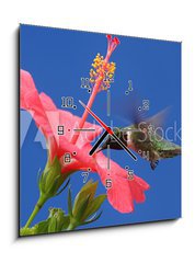 Obraz s hodinami 1D - 50 x 50 cm F_F15250716 - Ruby-throated Hummingbird