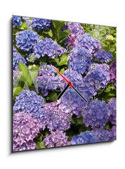 Obraz s hodinami 1D - 50 x 50 cm F_F15419136 - Hortensien 2 - Hydrangeas 2