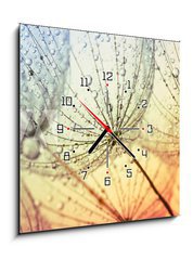 Obraz s hodinami 1D - 50 x 50 cm F_F155375500 -  dandelion flower background