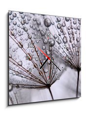 Obraz s hodinami 1D - 50 x 50 cm F_F15712767 - dandelion seeds