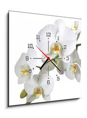 Obraz s hodinami 1D - 50 x 50 cm F_F15872773 - Orchidee