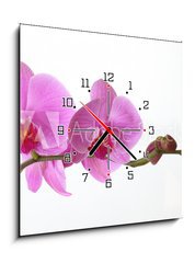 Obraz s hodinami 1D - 50 x 50 cm F_F15946659 - Orchid Phalaenopsis