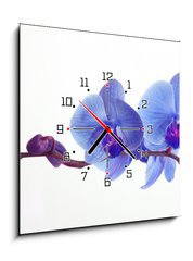 Obraz s hodinami   Blue orchid, 50 x 50 cm