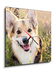 Obraz s hodinami 1D - 50 x 50 cm F_F164383181 - Happy and active purebred Welsh Corgi dog outdoors in the flowers on a sunny summer day.