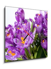 Obraz s hodinami 1D - 50 x 50 cm F_F16489898 - crocus flower