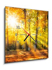 Obraz s hodinami 1D - 50 x 50 cm F_F169049384 - Buntes Herbstwald Panorama im Sonnenlicht - Panorama Buntes Herbstwald im Sonnenlicht