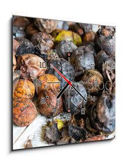 Obraz s hodinami 1D - 50 x 50 cm F_F171137304 - walnuts immediately after harvesting before cleaning