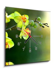 Obraz s hodinami   Orchidee, 50 x 50 cm