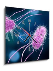 Obraz s hodinami 1D - 50 x 50 cm F_F176894218 - 3D illustration of Salmonella Bacteria. Medicine concept.