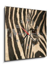 Obraz s hodinami 1D - 50 x 50 cm F_F17807790 - Zebra