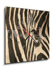 Obraz s hodinami   Zebra, 50 x 50 cm