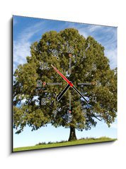 Obraz s hodinami 1D - 50 x 50 cm F_F17987334 - Large Oak Tree with Blue Sky