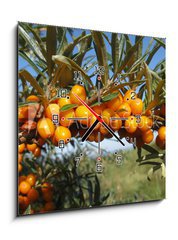 Obraz s hodinami 1D - 50 x 50 cm F_F18588117 - Reife Sanddornbeeren im Sonnenschein - Zral bobule rakytnku na slunci