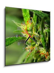 Obraz s hodinami 1D - 50 x 50 cm F_F18646563 - Marijuana