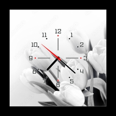 Obraz s hodinami   White tulips on white background bw, 50 x 50 cm