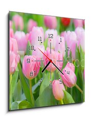 Obraz s hodinami 1D - 50 x 50 cm F_F197459924 - Tulip Flower in the Garden.,Nature background.