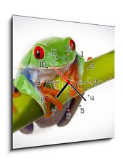 Obraz s hodinami 1D - 50 x 50 cm F_F19746913 - Bamboo Frog - Bambusov ba