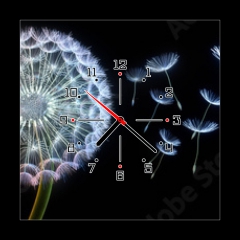 Obraz s hodinami 1D - 50 x 50 cm F_F200959544 - Pusteblumen vor schwarzem Hintergrund extremes Querformat