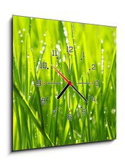 Obraz s hodinami 1D - 50 x 50 cm F_F20126936 - grass - tráva