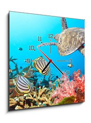 Obraz s hodinami 1D - 50 x 50 cm F_F20449790 - Butterflyfishes and turtle