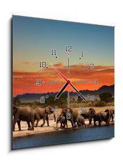 Obraz s hodinami   Herd of elephants in african savanna, 50 x 50 cm