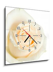 Obraz s hodinami 1D - 50 x 50 cm F_F2079431 - white rose isolated