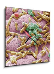 Obraz s hodinami 1D - 50 x 50 cm F_F226312177 - Bacteria found on dishcloth, SEM