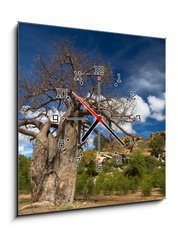 Obraz s hodinami 1D - 50 x 50 cm F_F22653403 - Baobab tree landscape - Baobab stromová krajina