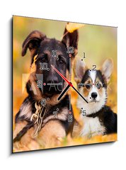 Obraz s hodinami 1D - 50 x 50 cm F_F230586450 - puppy german shepherd and welsh corgi in autumn leaves