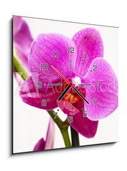 Obraz s hodinami 1D - 50 x 50 cm F_F23400240 - orchid