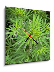 Obraz s hodinami   Cannabis, 50 x 50 cm